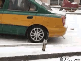 GIF动态图：哈尔滨冬季日常