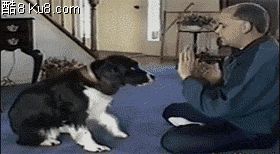 GIF动态图：狗狗和主人拍手游戏