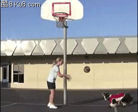 GIF动态图：狗狗和女主人玩篮球
