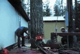 加拿大伐木工人绝逼的水平
