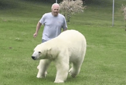 大白熊，你的脾气呢